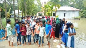 বই-ব্যাগ ভিজে যায়, মাঠে খেলা বন্ধ — দৌলতখানের দুই স্কুলে জলাবদ্ধতায় নাকাল ৫০০ শিক্ষার্থী