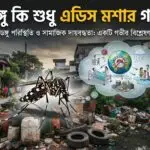 ডেঙ্গু কি শুধু এডিস মশার গল্প? খুলনার বাস্তবতা বলছে অন্য কথা