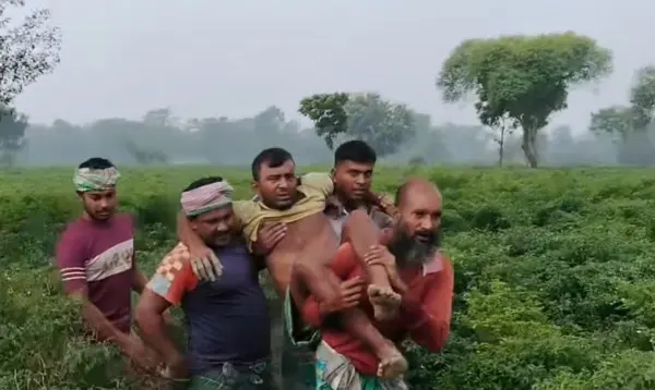 কুষ্টিয়ার দৌলতপুরের জামালপুর সীমান্ত এলাকা