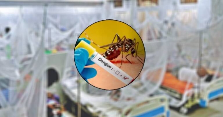 হাসপাতালের ওয়ার্ডে ডেঙ্গু আক্রান্ত রোগী