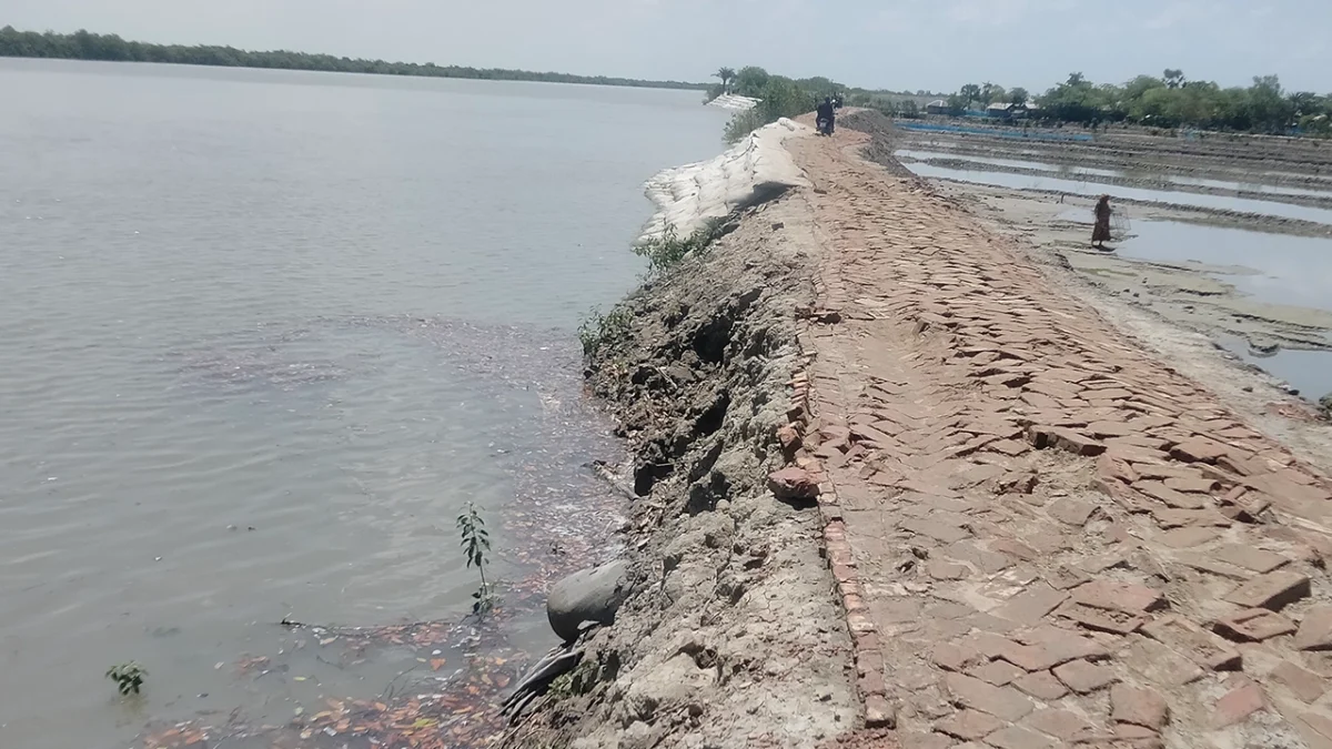 খুলনার কয়রা উপজেলার একটি বেড়িবাঁধ এলাকা