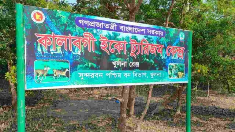 কালাবাগী ওয়াচ টাওয়ার থেকে সুন্দরবনের দৃশ্য